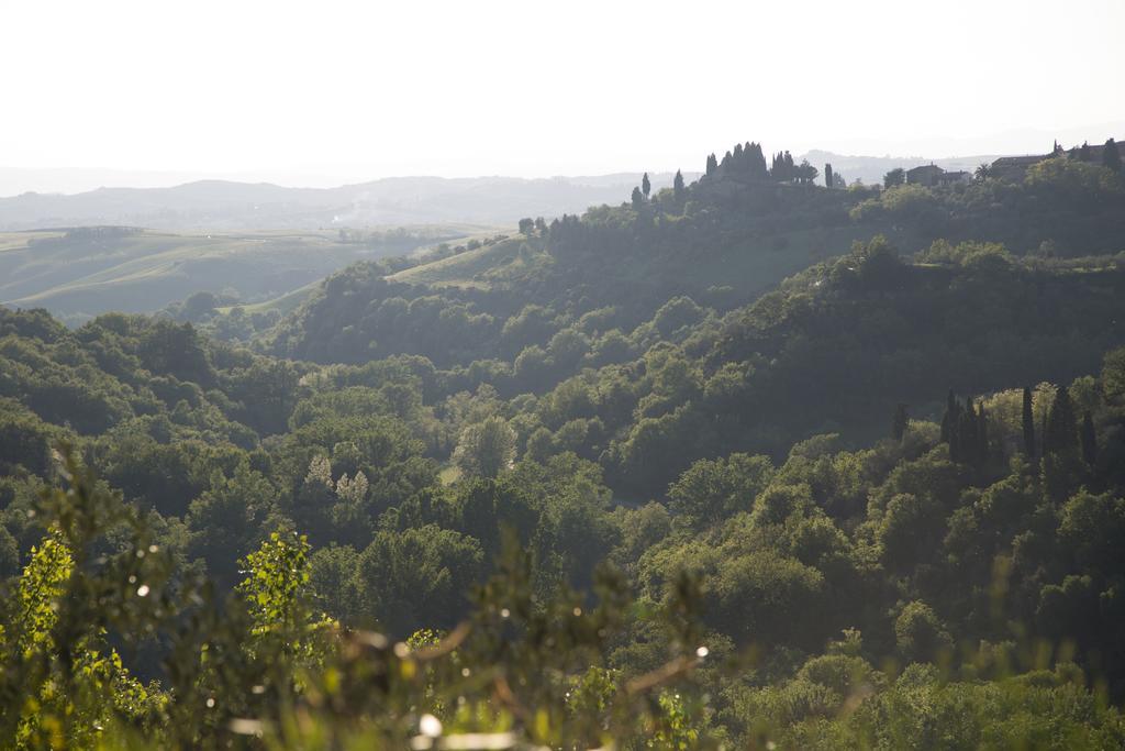 Casa Sandro A Podere Pascianella Villa Castelmuzio Eksteriør billede